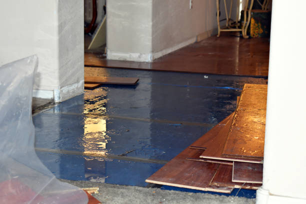 Professional Basement Flood Cleanup technician working in Sequim, WA